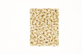 Torba prezentowa torebka BN folia [mm:] 130x175 (S1)