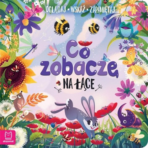Książeczka edukacyjna Aksjomat Co zobaczę na łące. Oglądaj, wskaż, zapamiętaj Książeczka edukacyjna Aksjomat Co zobaczę na łące. Oglądaj, wskaż, zapamiętaj