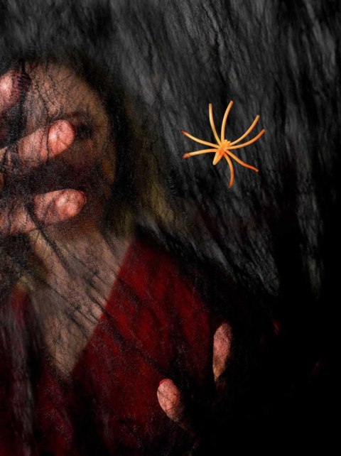 Ozdoba halloweenowa Arpex Czarna pajęczyna z pająkiem (HA7957) Ozdoba halloweenowa Arpex Czarna pajęczyna z pająkiem (HA7957)