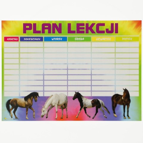 Plan lekcji Polsyr A5 Plan lekcji Polsyr A5