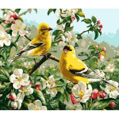 Zestaw kreatywny Norimpex malowanie po numerach - wilgi 40x50cm (NO-1008922) Zestaw kreatywny Norimpex malowanie po numerach - wilgi 40x50cm (NO-1008922)