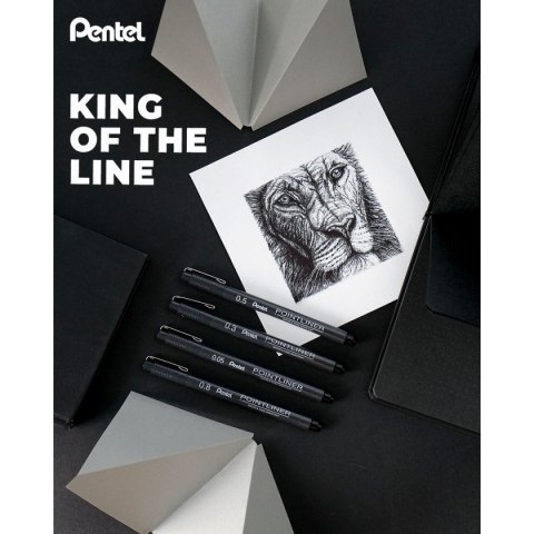 Cienkopis Pentel POINTLINER, czarne mixmm 1kol. (XBLW355C) Cienkopis Pentel POINTLINER, czarne mixmm 1kol. (XBLW355C)