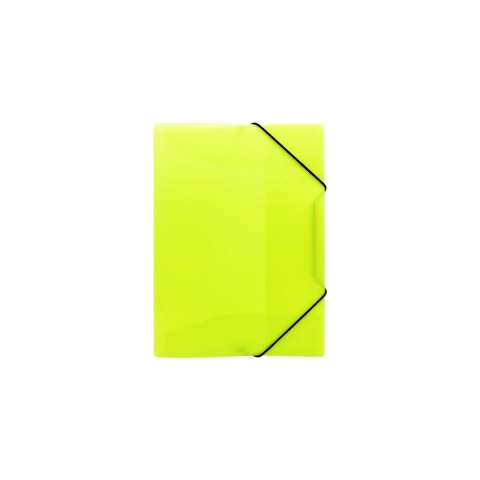 Teczka plastikowa Neon Biurfol (TG-NEON-A4-02) Teczka plastikowa Neon Biurfol (TG-NEON-A4-02)