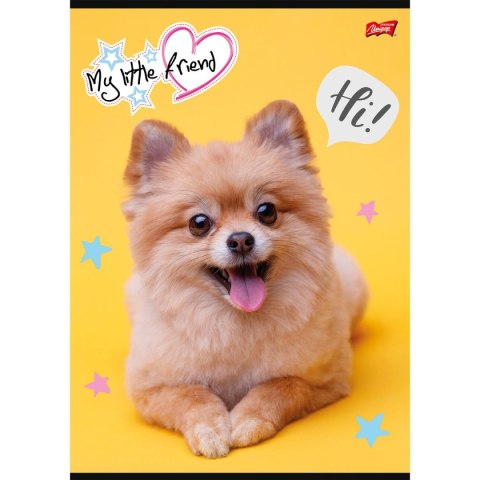 Zeszyt Unipap MY LITTLE FRIEND A4 32k. 70g krata Zeszyt Unipap MY LITTLE FRIEND A4 32k. 70g krata