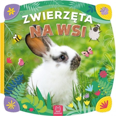 Książeczka edukacyjna Aksjomat Zwierzęta na wsi Książeczka edukacyjna Aksjomat Zwierzęta na wsi