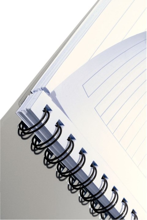 Notes Leitz EXECUTIVE PROJECT BOOK A4 80k. linia (44680000) Notes Leitz EXECUTIVE PROJECT BOOK A4 80k. linia (44680000)