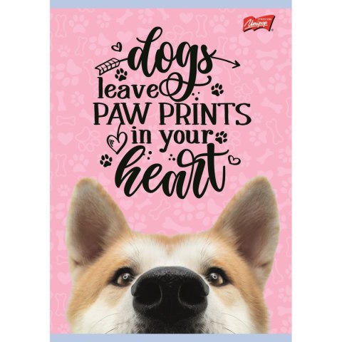 Zeszyt Unipap dog A5 16k. krata Zeszyt Unipap dog A5 16k. krata