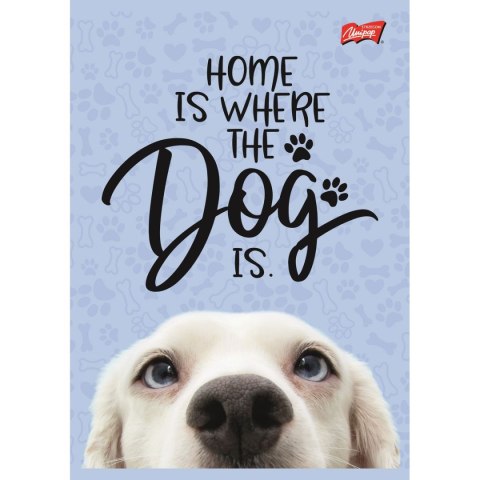 Zeszyt Unipap dog A5 16k. krata Zeszyt Unipap dog A5 16k. krata