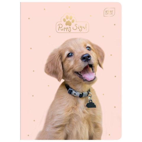 Zeszyt Interdruk PUPPY SIGN A5 32k. 70g krata (ZE32#PUP) Zeszyt Interdruk PUPPY SIGN A5 32k. 70g krata (ZE32#PUP)