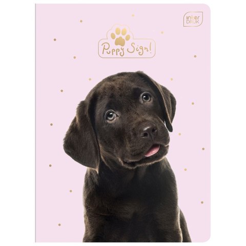Zeszyt Interdruk PUPPY SIGN A5 32k. 70g krata (ZE32#PUP) Zeszyt Interdruk PUPPY SIGN A5 32k. 70g krata (ZE32#PUP)