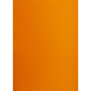 Brystol Creatinio POMARAŃCZOWY B2 pomarańczowy 225g 25k (400150330)