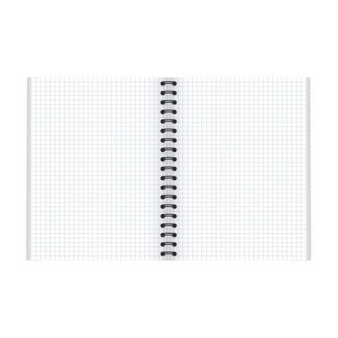 Kołozeszyt (kołobrulion) TOP-2000 SHADES B5 120k. 70g krata [mm:] 170x250 (400158939)