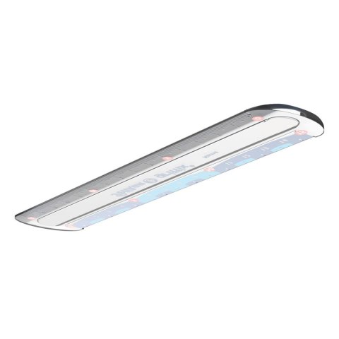 Linijka plastik Pelikan Griffix 15cm (822275) Linijka plastik Pelikan Griffix 15cm (822275)
