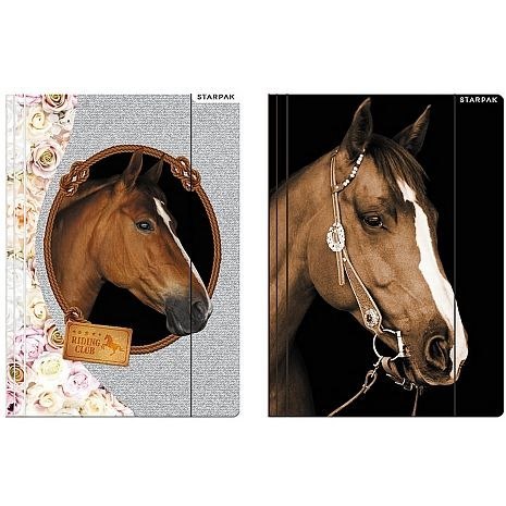 Teczka kartonowa na gumkę horses A4 mix Starpak (298952) Teczka kartonowa na gumkę horses A4 mix Starpak (298952)