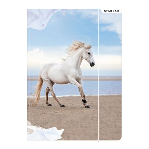 Teczka kartonowa na gumkę horses A4 mix Starpak (298952) Teczka kartonowa na gumkę horses A4 mix Starpak (298952)