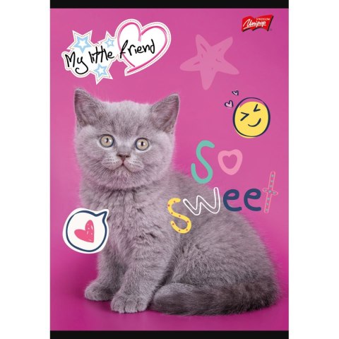 Zeszyt Unipap MY LITTLE FRIEND A5 32k. krata Zeszyt Unipap MY LITTLE FRIEND A5 32k. krata