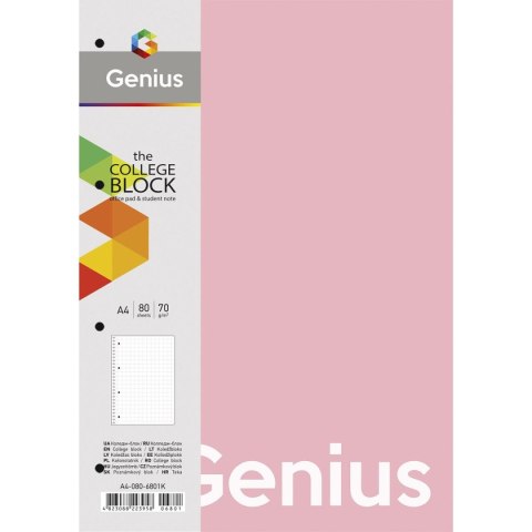 Kołozeszyt (kołobrulion) Astra genium 104021019 A4 80k. 70g krata Kołozeszyt (kołobrulion) Astra genium 104021019 A4 80k. 70g krata