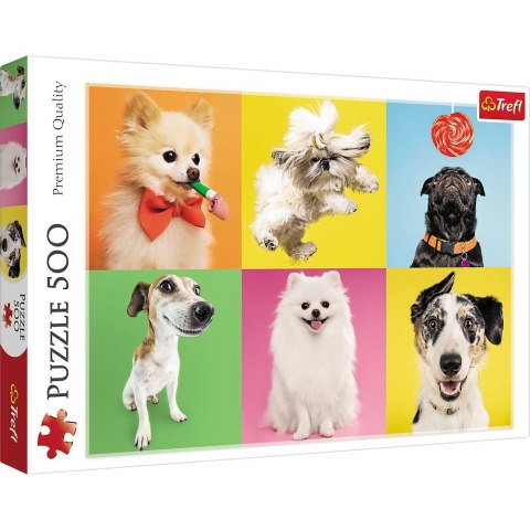 Puzzle Trefl Psy 500 el. (37378) Puzzle Trefl Psy 500 el. (37378)