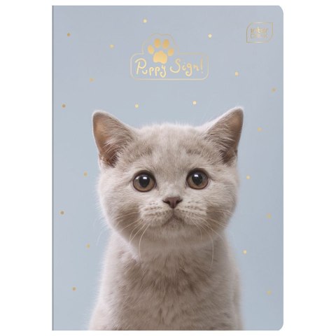Zeszyt Interdruk Puppy Sign A5 16k. 70g krata [mm:] 148x210 (ZE16#PS)