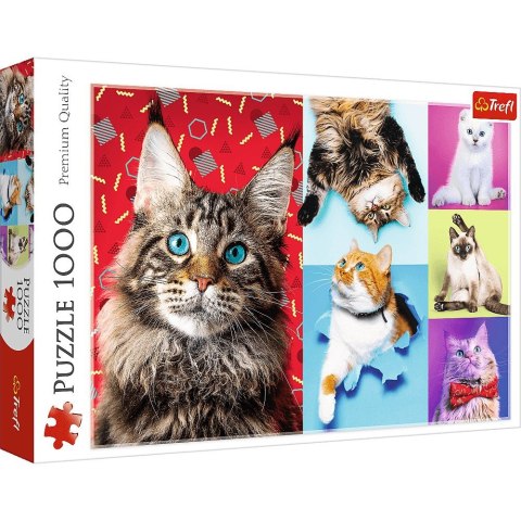 Puzzle Trefl Wesołe koty 1000 el. (10591) Puzzle Trefl Wesołe koty 1000 el. (10591)