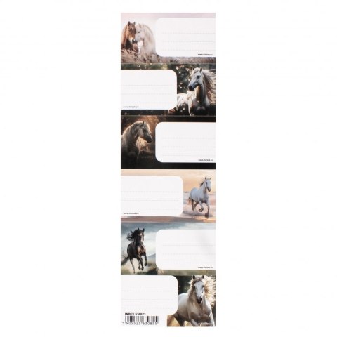 Naklejka na zeszyt Starpak Horse (536023) Naklejka na zeszyt Starpak Horse (536023)