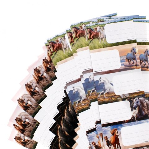 Naklejka na zeszyt Starpak Horse (536023) Naklejka na zeszyt Starpak Horse (536023)