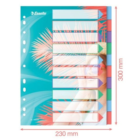 Przekładka czysta Esselte Colour Breeze A4 mix 10k (628500) Przekładka czysta Esselte Colour Breeze A4 mix 10k (628500)