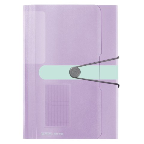 Teczka z przegródkami Herlitz (11409018) Teczka z przegródkami Herlitz (11409018)