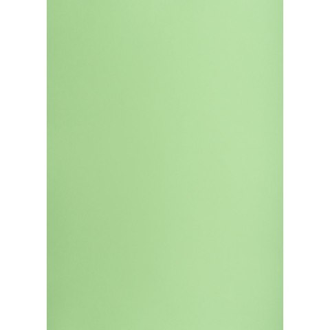 Brystol Creatinio groszkowy B2 zielony 225g 25k (400150336) Brystol Creatinio groszkowy B2 zielony 225g 25k (400150336)