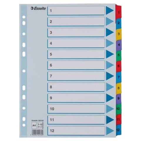 Przekładka numeryczna Esselte Mylar kartonowe A4 mix kolorów 160g 12k 1-12 (100162) Przekładka numeryczna Esselte Mylar kartonowe A4 mix kolorów 160g 12k 1-12 (100162)