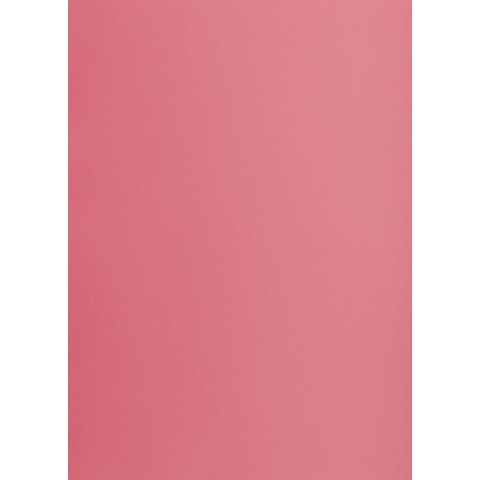 Brystol Creatinio RÓŻOWY B2 różowy 225g 25k (400150329) Brystol Creatinio RÓŻOWY B2 różowy 225g 25k (400150329)