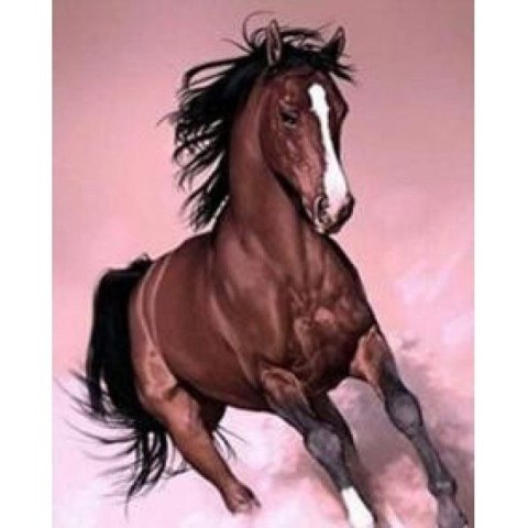 Zestaw kreatywny Norimpex malowanie po numerach - mustang 40X50cm (NO-1005665) Zestaw kreatywny Norimpex malowanie po numerach - mustang 40X50cm (NO-1005665)